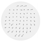Wafer map