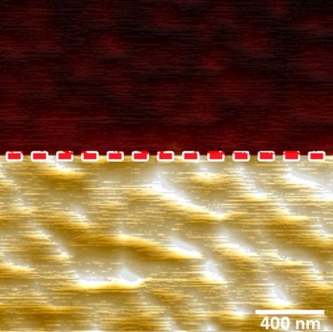 Electric Force Microscopy