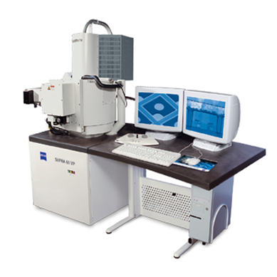 Scanning Electron Microscopy