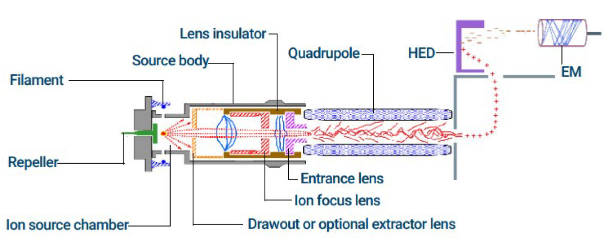 Gas Chromatography-Mass Spectrometry (GC-MS)